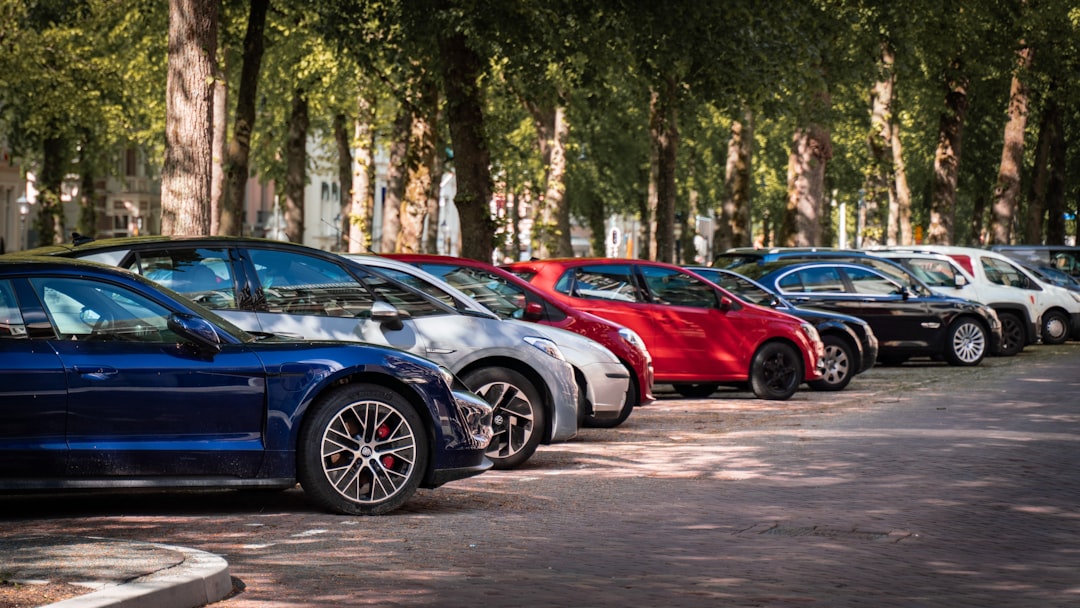 Ghid Complet pentru Leasing Masini de Lux cu Rovel