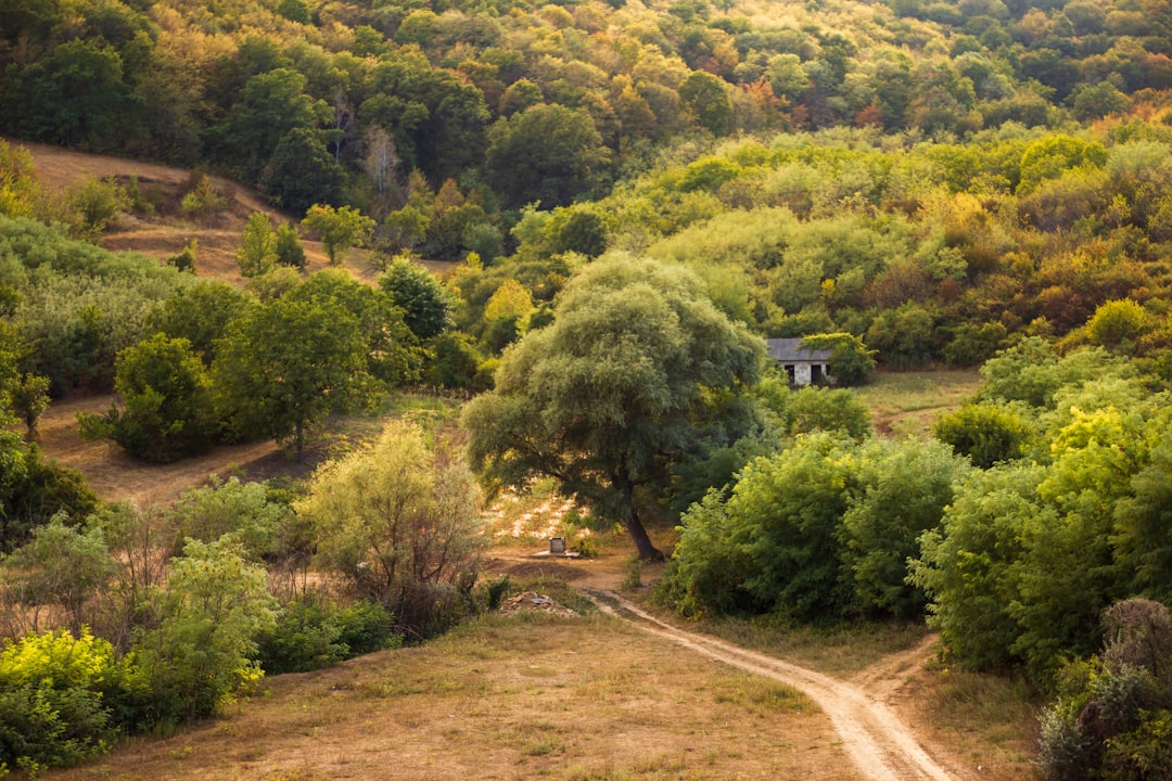 Moldova Masini: Experiența Premium cu Rovel